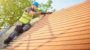 Best Roof Leak Repair  in Le Mars, IA
