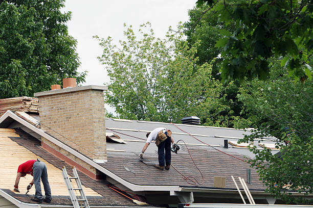 Best Rubber Roofing (EPDM, TPO)  in Le Mars, IA